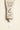 Lait-Creme Concentre Multi-Function Moisturizer