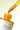 Rosehip Pure Plant Beauty Oil