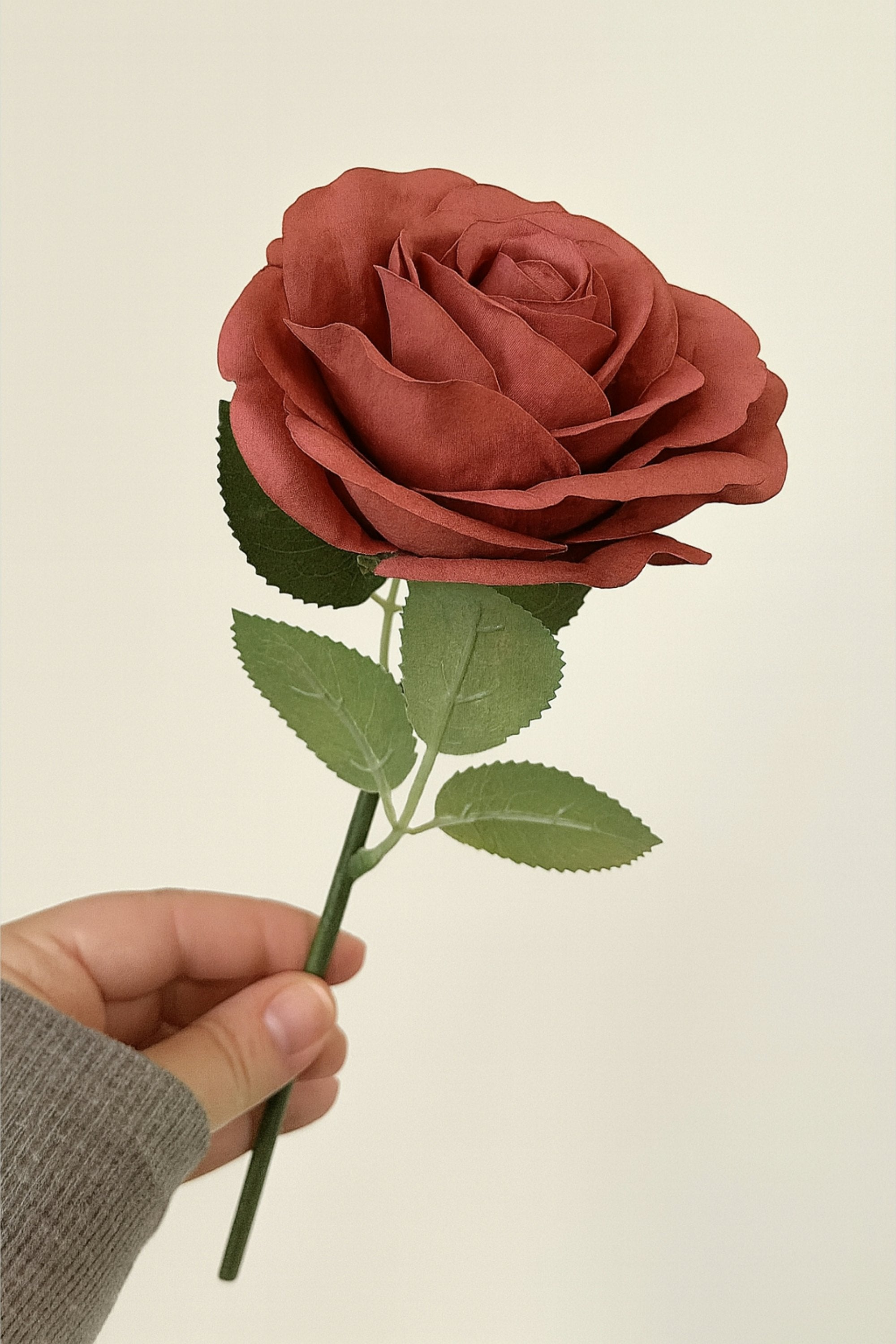 Pink Ribbon Rose Blush