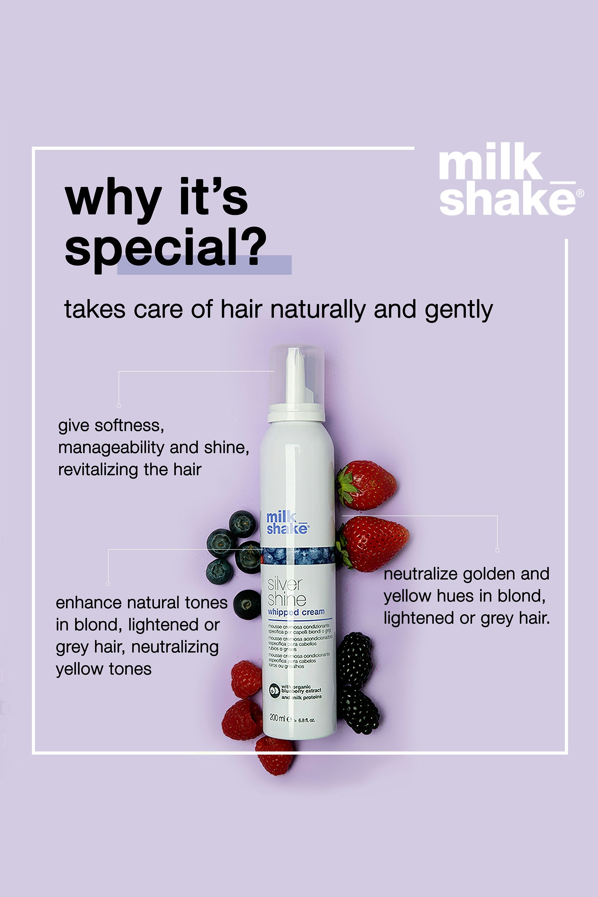 Silver Shine Whipped Cream