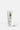 Green Tea Gentle Revival Face Scrub