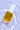 Daily Reviving Concentrate