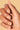 Color Riche Le Vernis A L'Huile