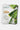 Aloe Vera Fairness Facial Mask