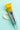 Vita C Plus Eraser Toning Cream