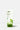 Green Tea Pore Cleansing Face Wash