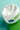 Moisturising Cream
