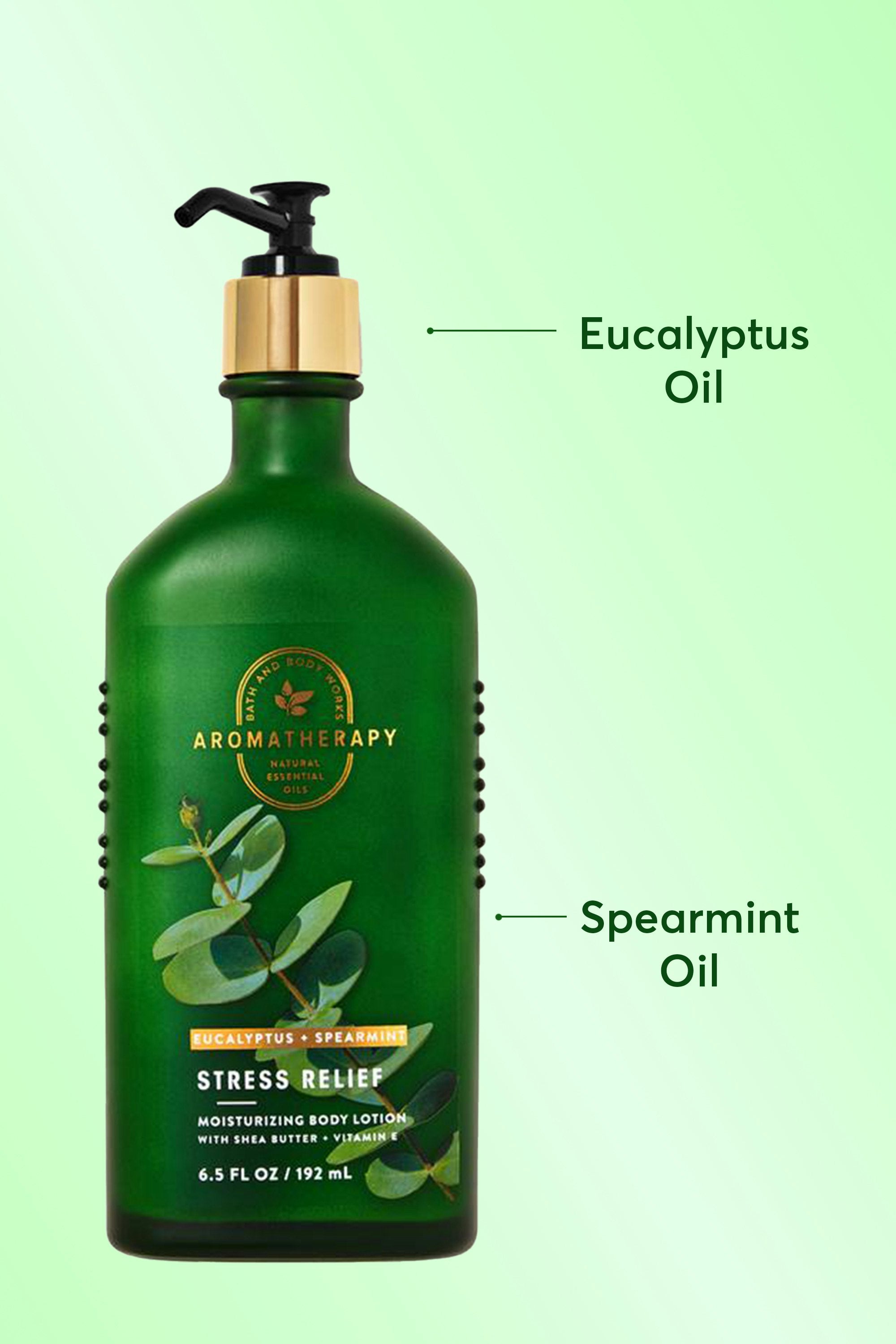 Euclyptus + Mint Body Lotion